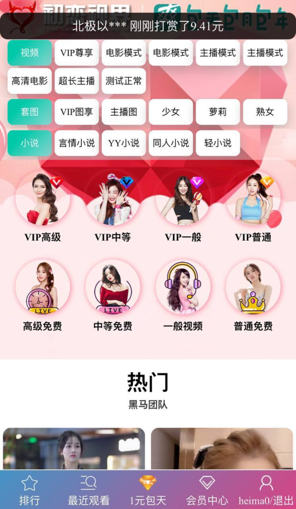 图片[3]-初恋视界 仿哔哩哔哩 付费视频源码 VIP充值会员-免费源码网