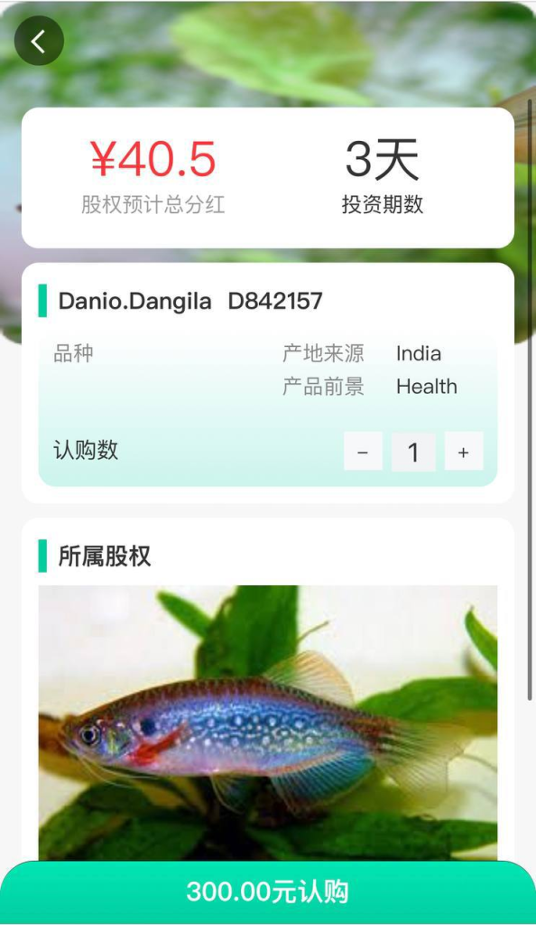 图片[4]-养鱼金融投资理财源码 中英文/商城 抽奖 投资收益余额宝功能-免费源码网