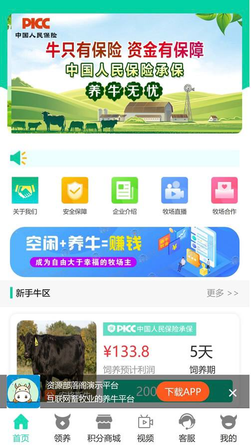 图片[2]-牧场养牛挖矿理财源码-免费源码网